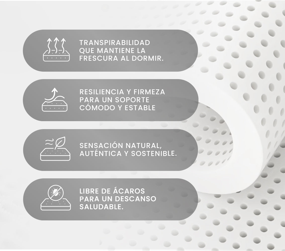INTERMAT SAS - Colchones True Colors