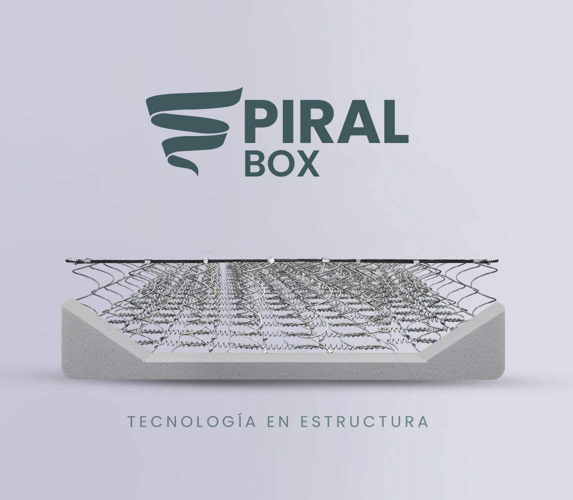 INTERMAT SAS - Colchones True Colors