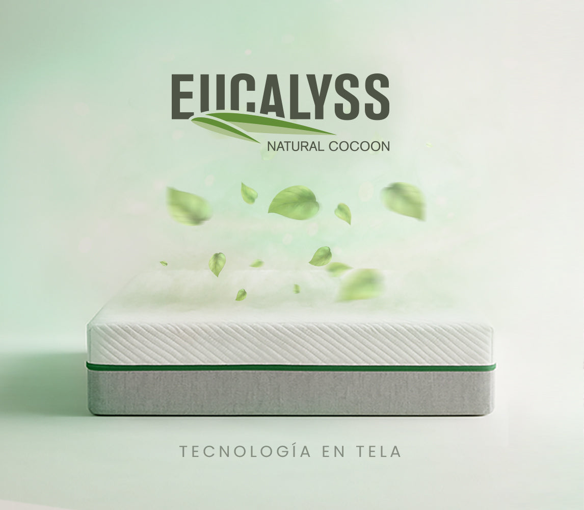 INTERMAT SAS - Colchones True Colors