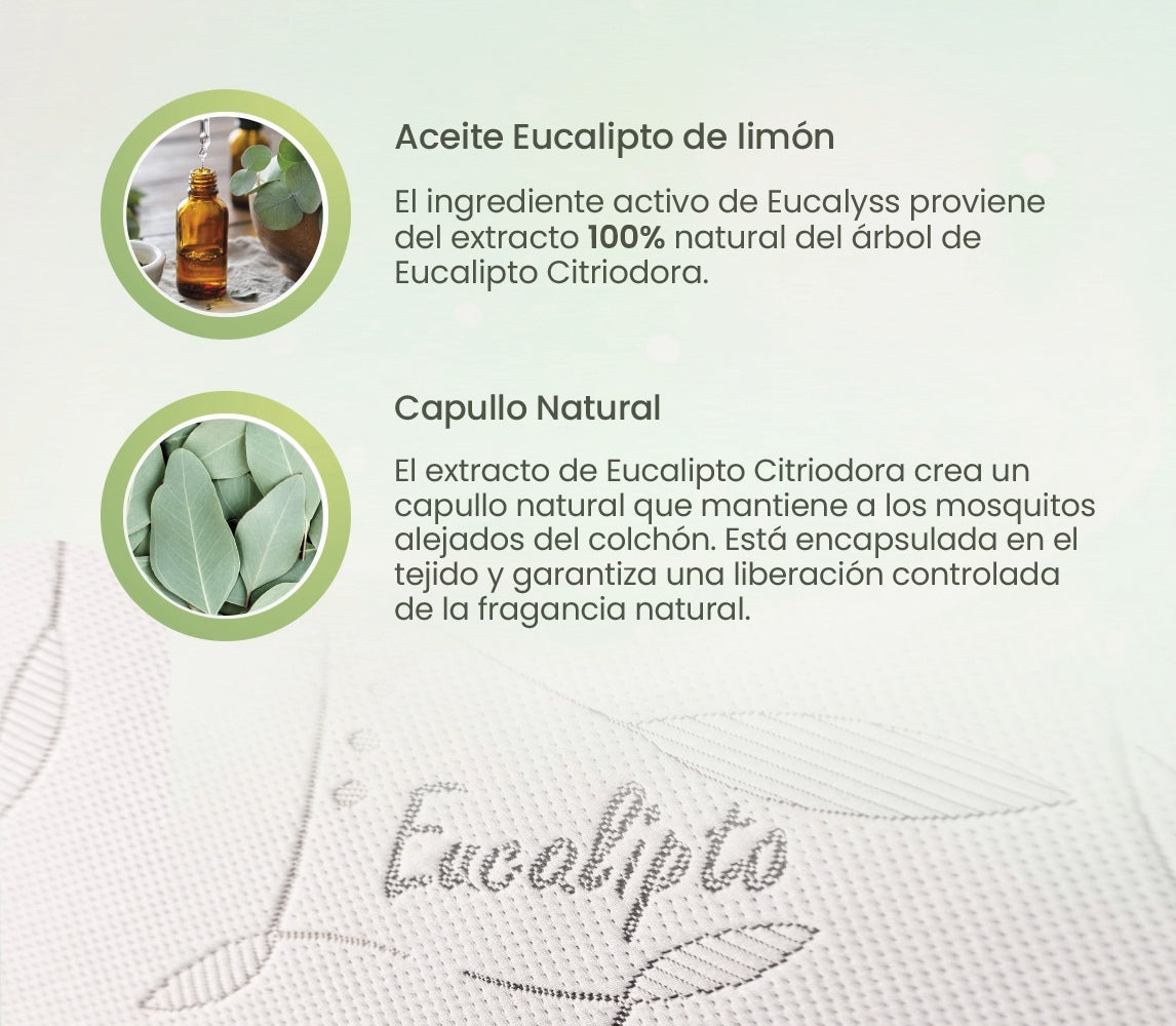 INTERMAT SAS - Colchones True Colors