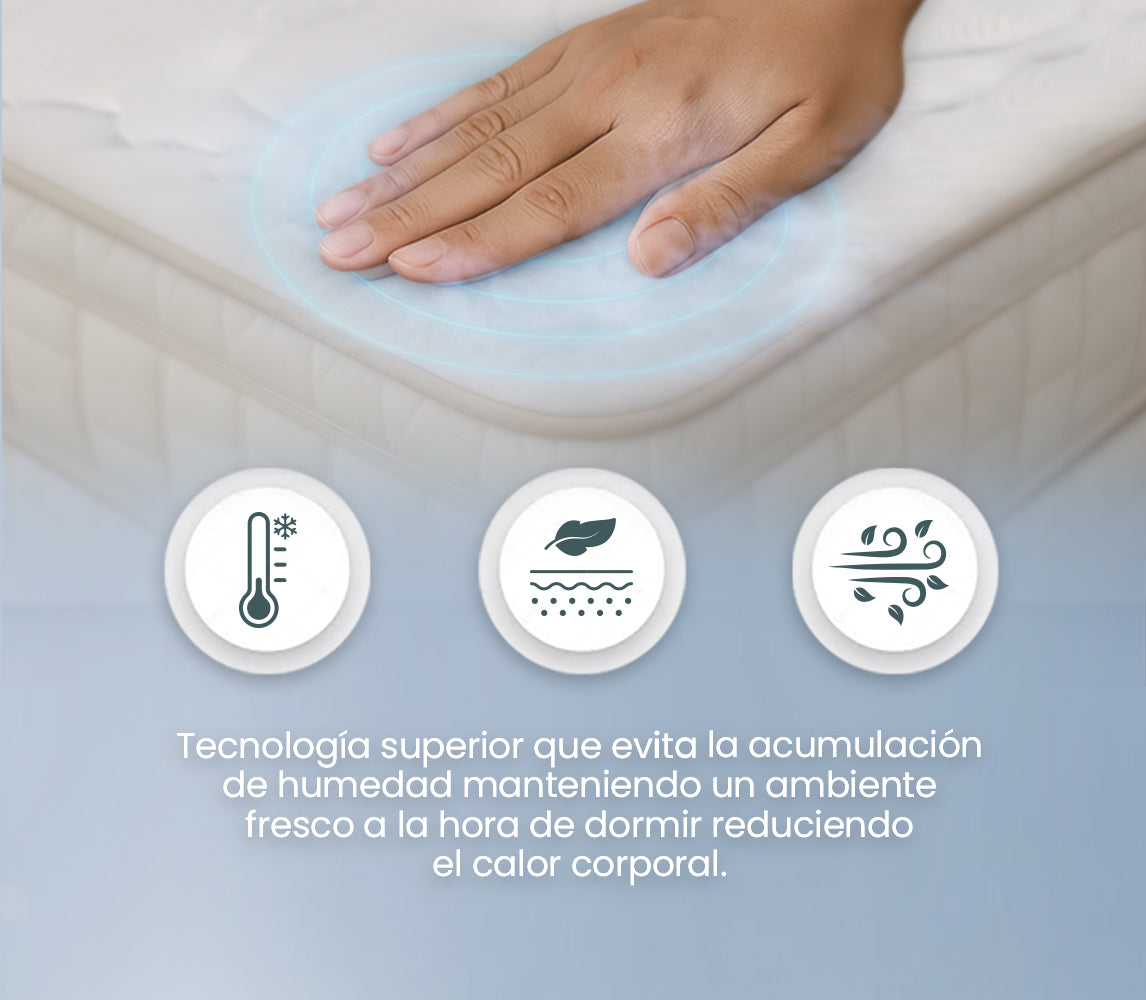 INTERMAT SAS - Colchones True Colors